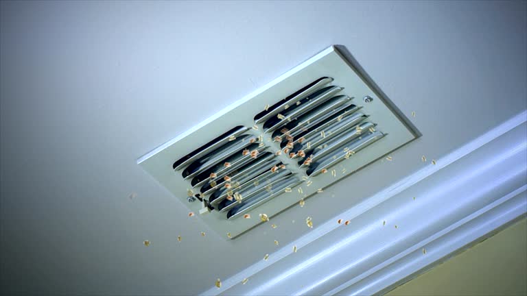 Affordable HVAC Duct Cleaning in MI