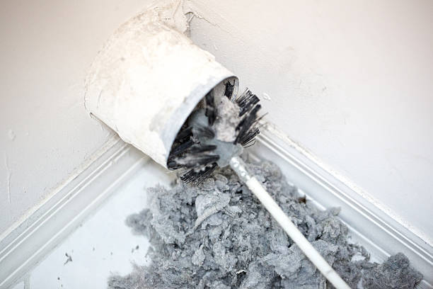 Best Air Duct Cleaning Near Me  in Lambertville, MI